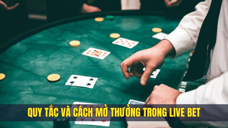 Live bet - Trải nghiệm chơi đỉnh cao, tăng thu nhập mỗi ngày