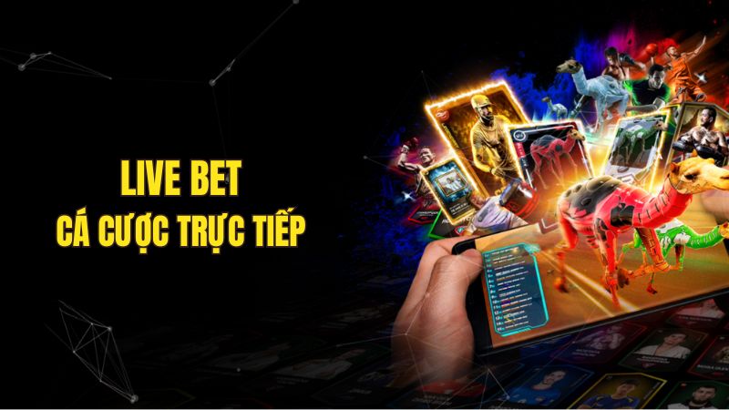 Live bet - Trải nghiệm chơi đỉnh cao, tăng thu nhập mỗi ngày