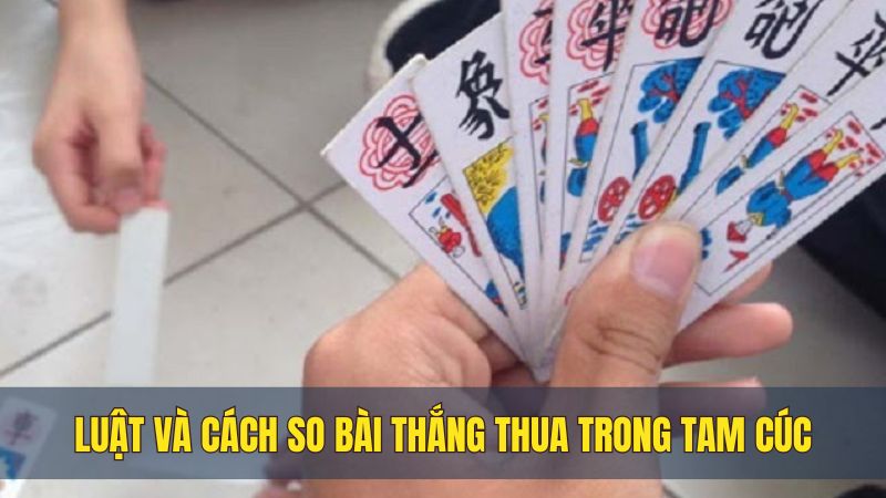 Tam Cúc là gì? Chiến thuật chơi bất bại thắng lớn như cao thủ