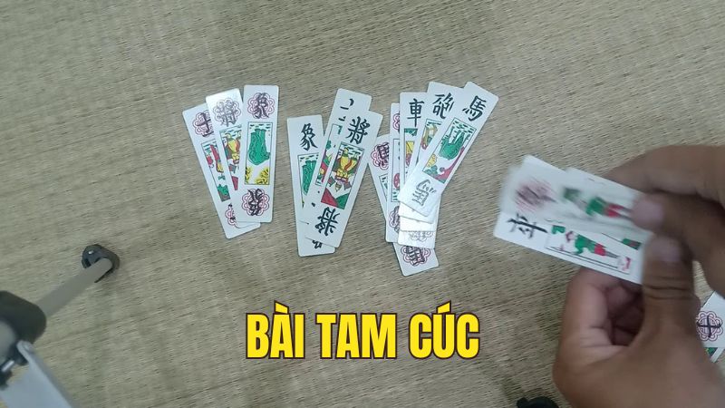 Tam Cúc là gì? Chiến thuật chơi bất bại thắng lớn như cao thủ
